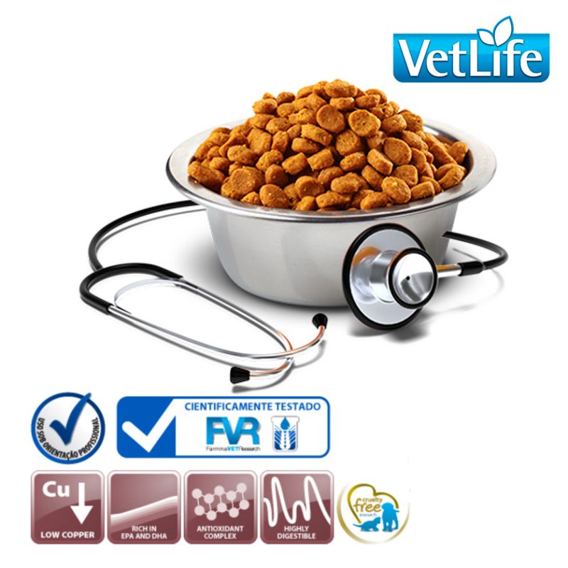 Vetlife Perro Hepatic 10Kg - Imagen 2