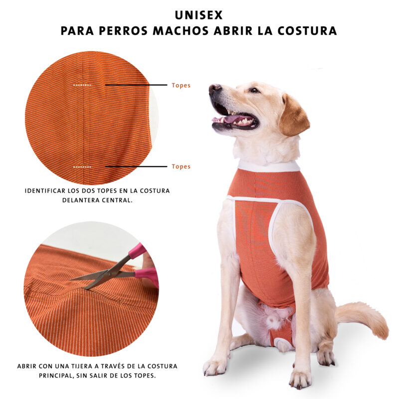 Body post quirúrgico Unisex Talla 8 (peso 17 a 21kg) - Imagen 2