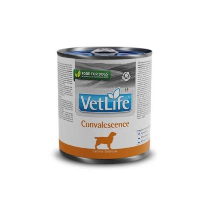 Vetlife Alimento Húmero Perro Convalescence 300gr