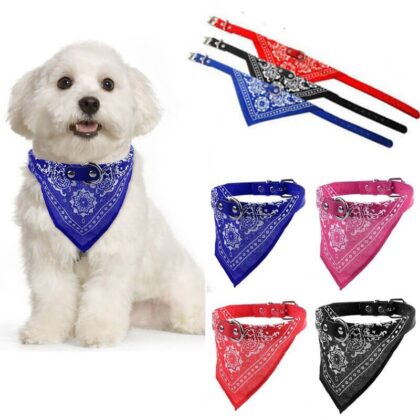 Collar con pañoleta perro pequeño