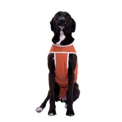 Body post quirúrgico Unisex Talla 9 (peso 21 a 25kg)