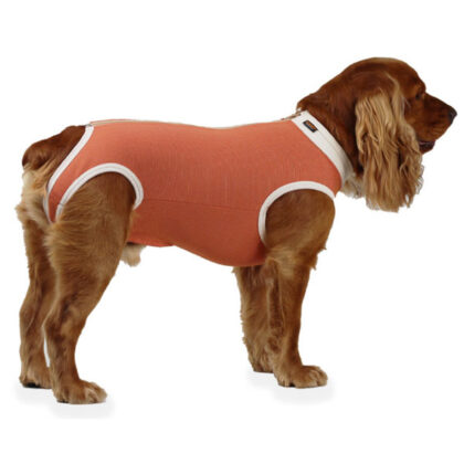 Body post quirúrgico Unisex Talla 6 (peso 10 a 13kg)