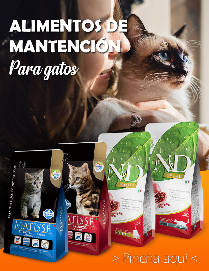 Imagen principal de sección destacados